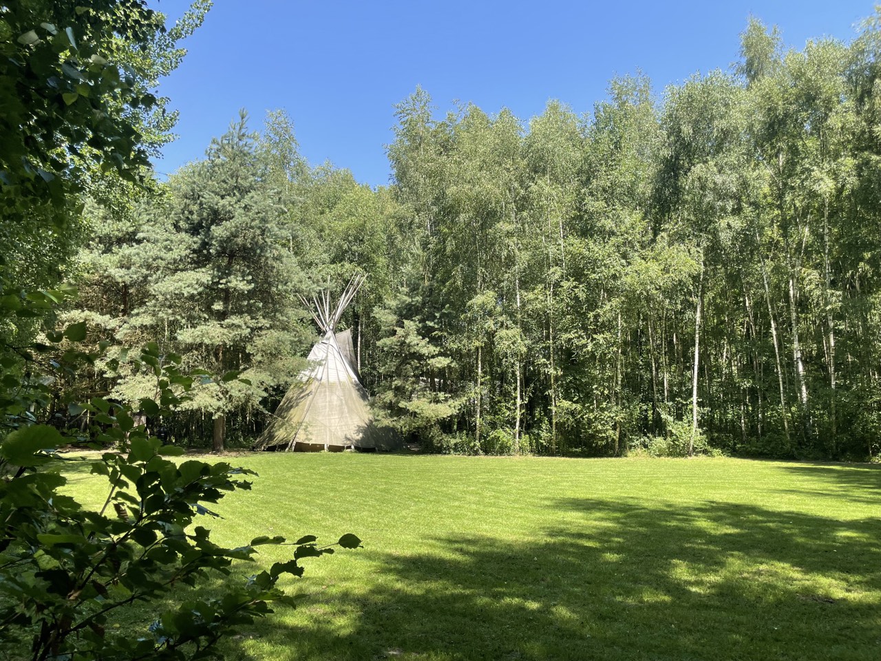 Tipi am Rand einer großen Waldlichtung auf dem Kursgelände südlich von Bremen