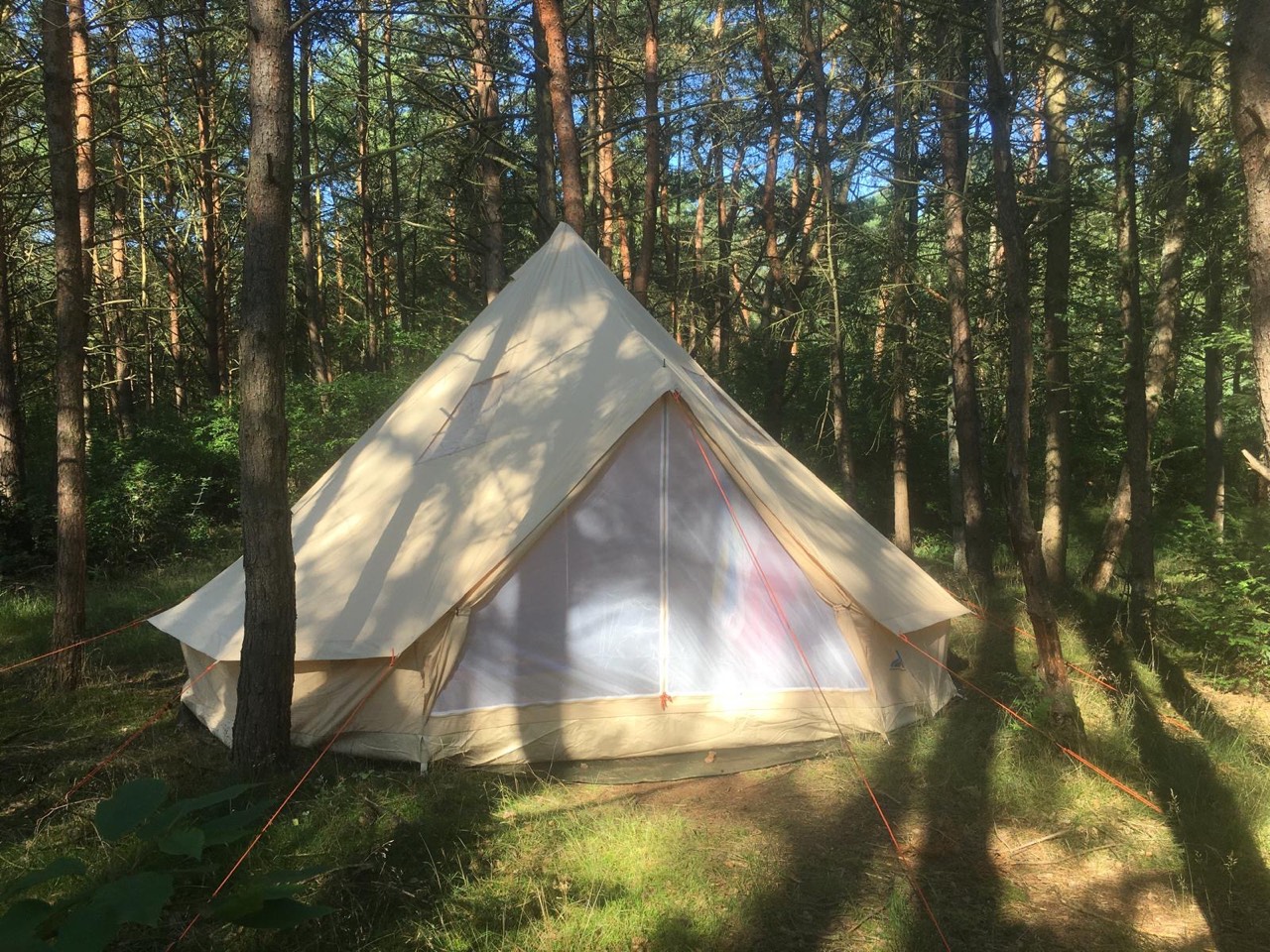 Glockenzelt zwischen Kiefern auf dem Kursgelände